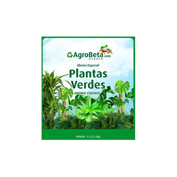 plantas verdes 